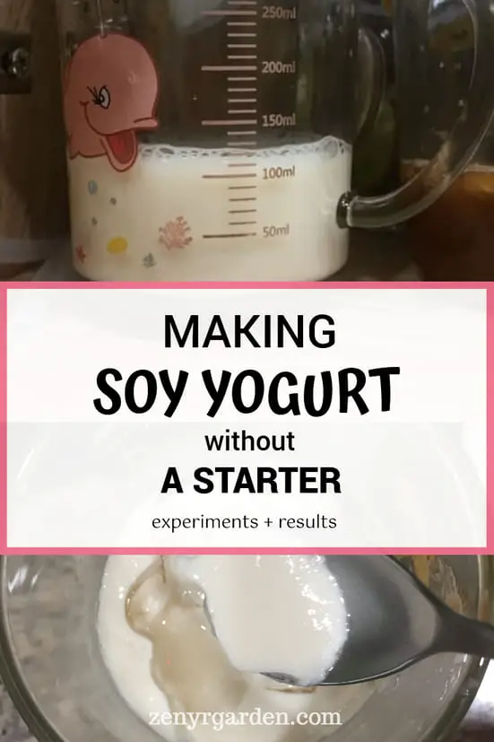 How to make soy yogurt without starter